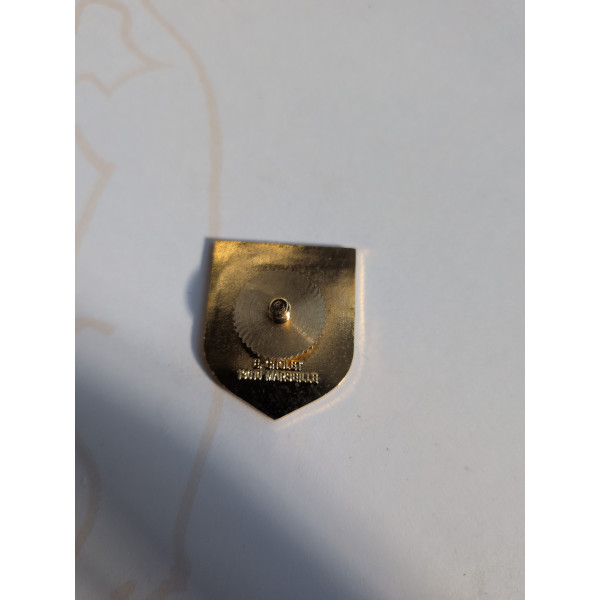 Insigne Gendarmerie Légion Émail Languedoc-Roussillon Pin's À Vis En D