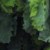 STURM - Camouflage Ghillie Oak Leaf Woodland